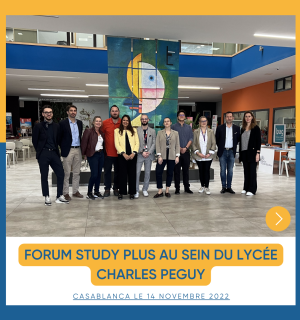 Forum Study Plus