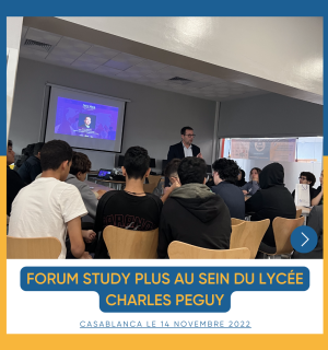 Forum Study Plus